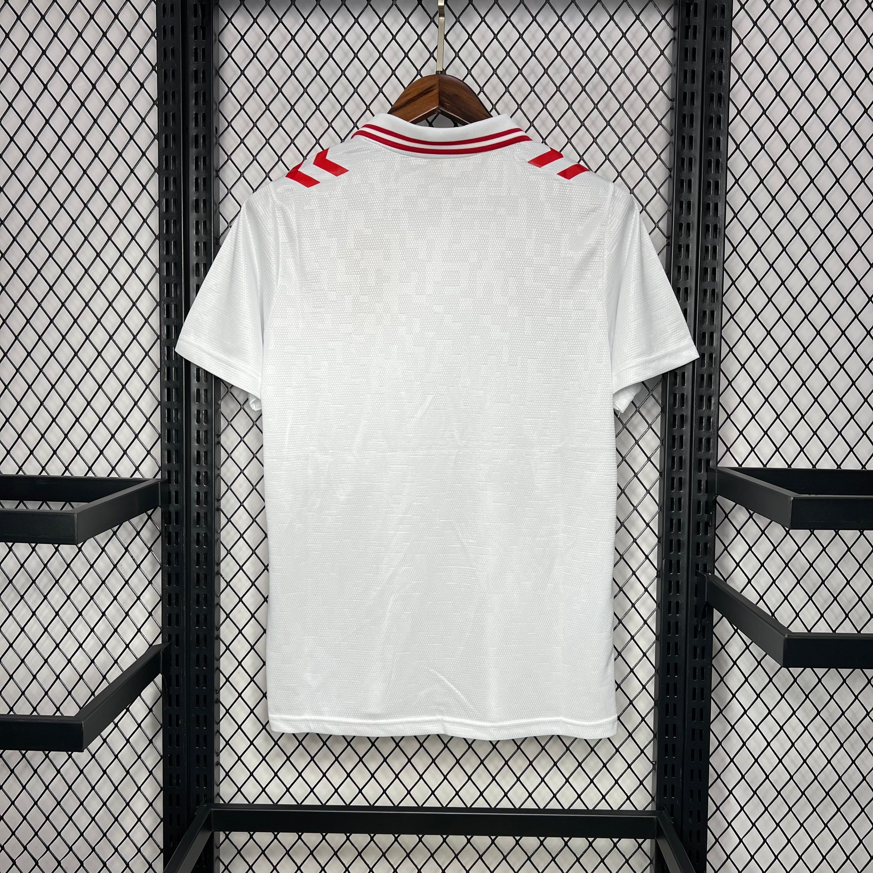 Danemark Extérieur Euro 2024/25