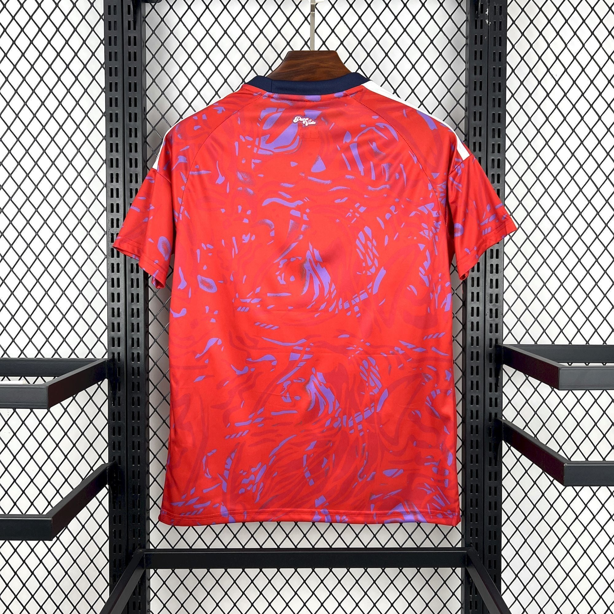 Costa Rica "CDM" Domicile 2026