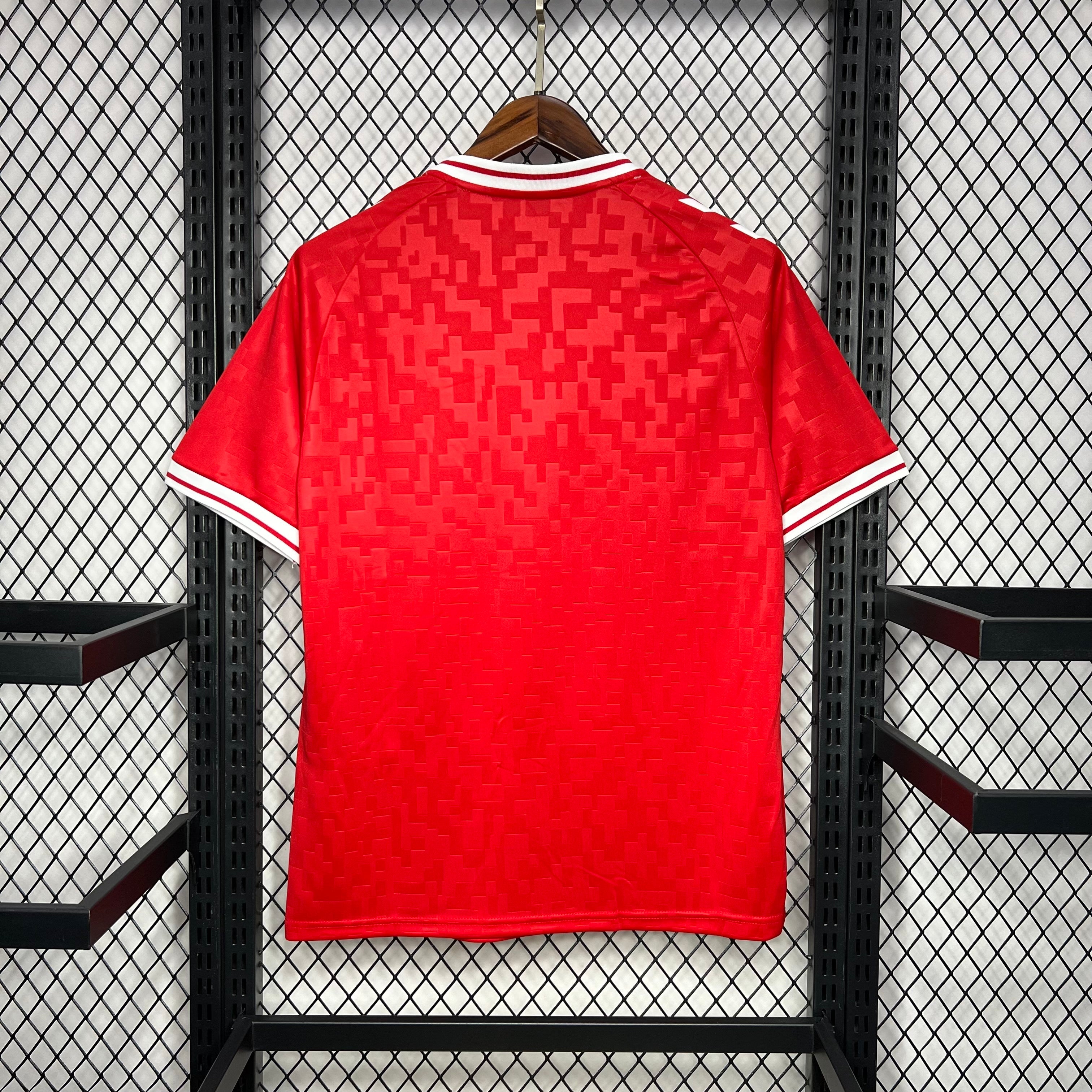 Danemark Domicile Euro 2024/25