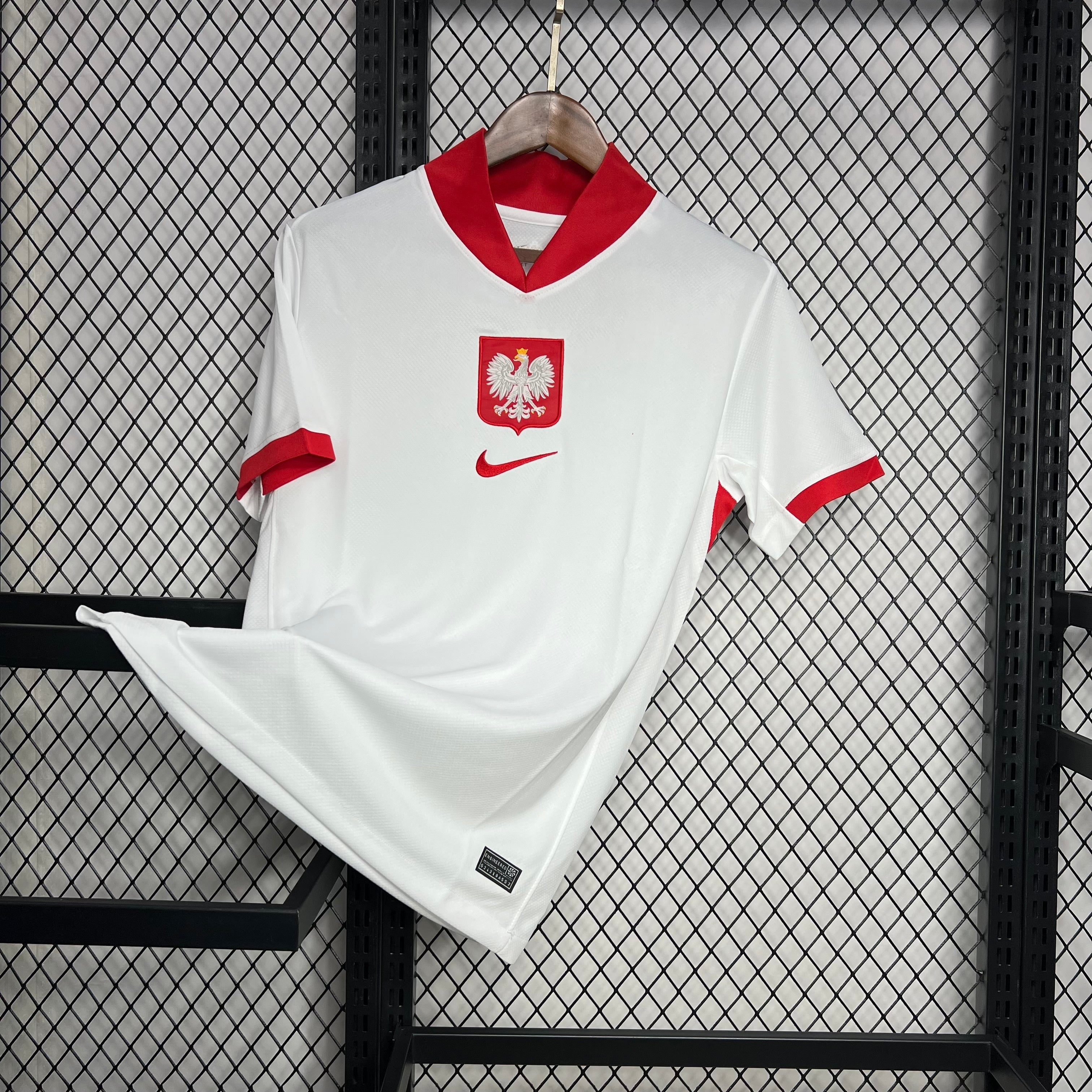 Pologne Domicile Euro 2024/25