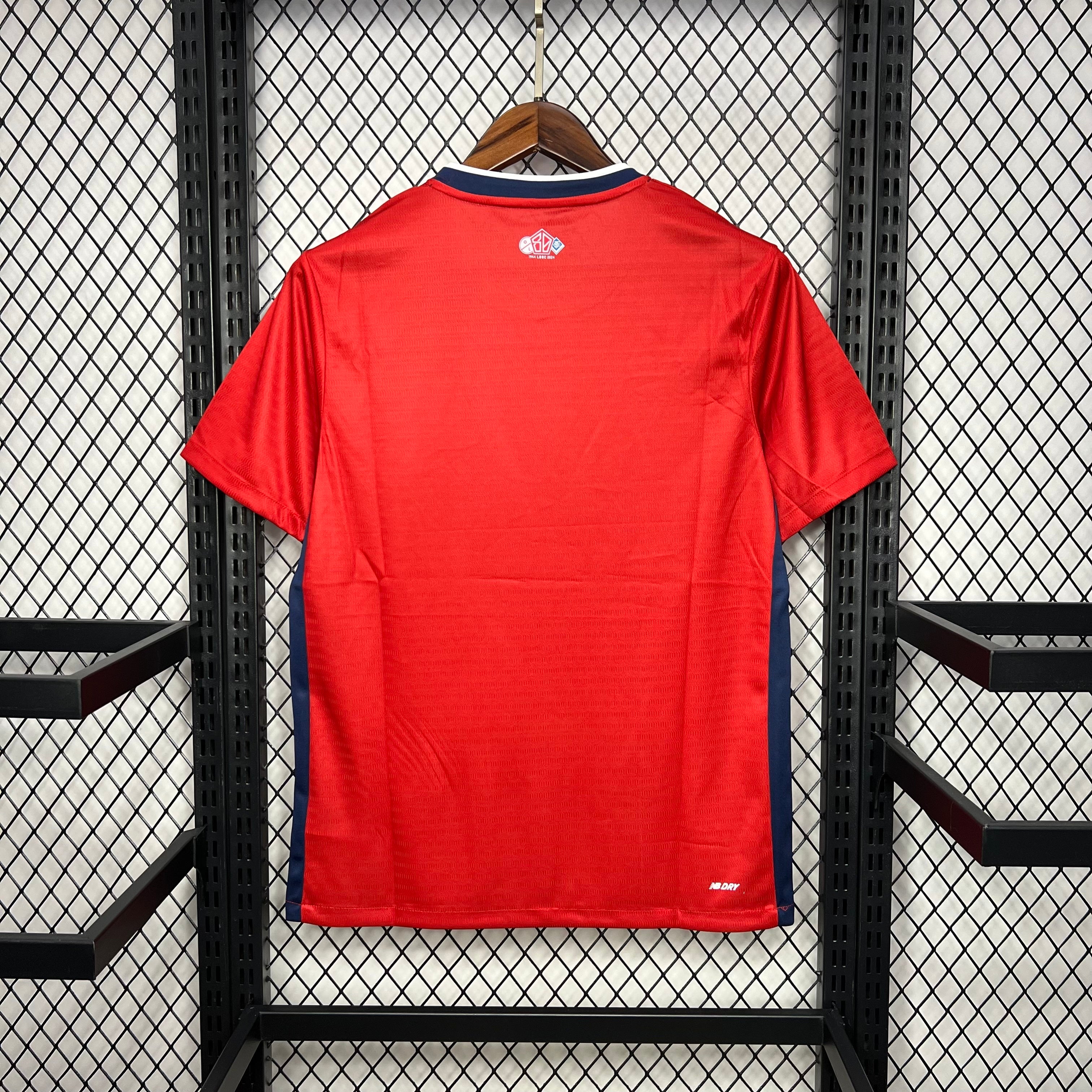 Lille OSC Domicile 2024/25