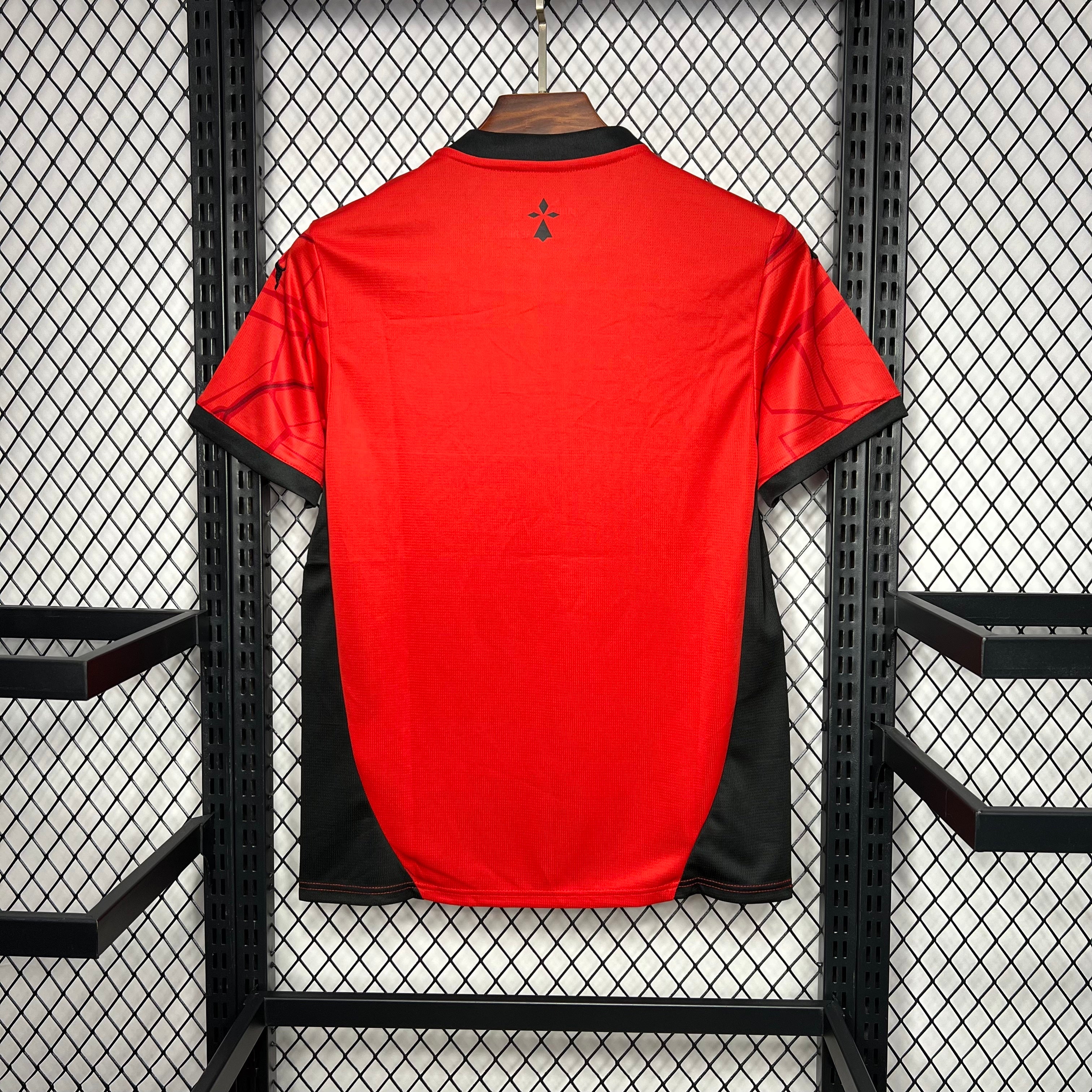 Stade Rennais Domicile 2024/25